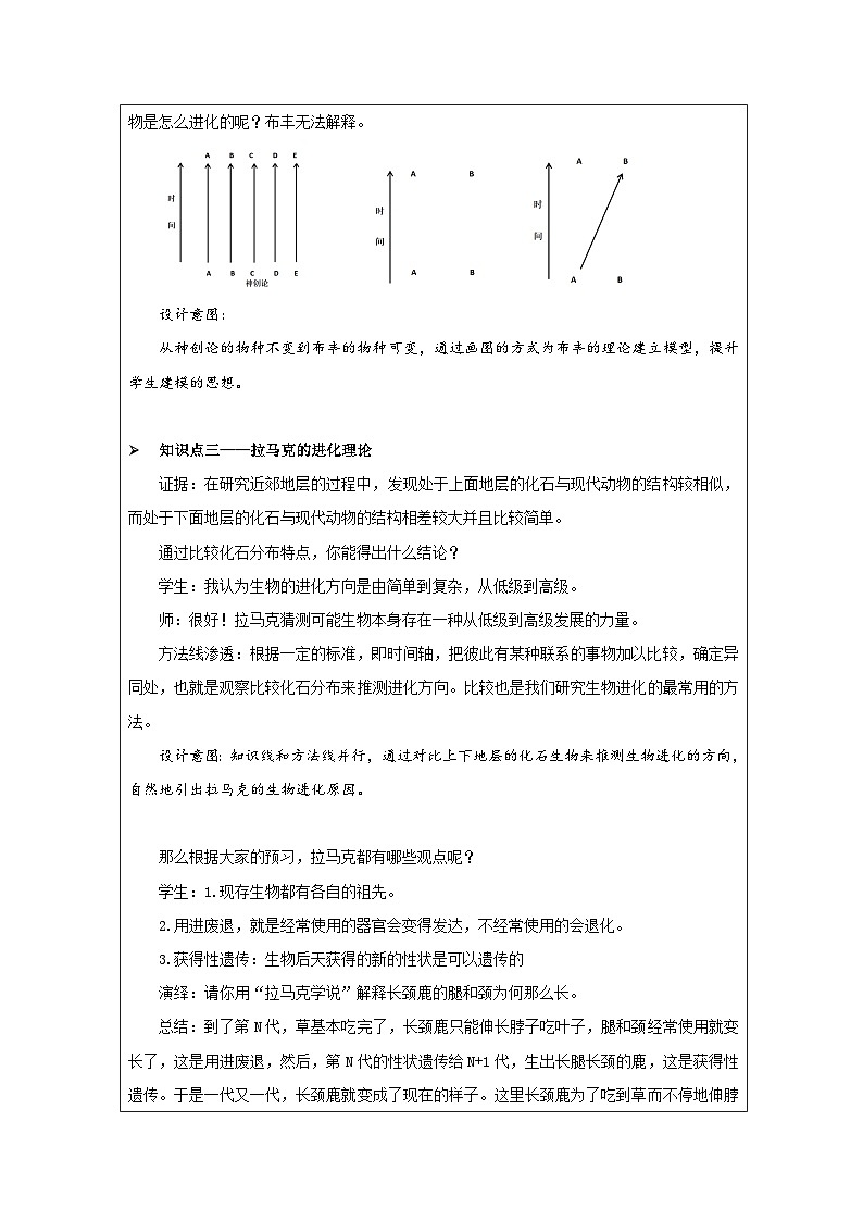 浙教版科学九年级下册1.4生物的进化 教案第3页