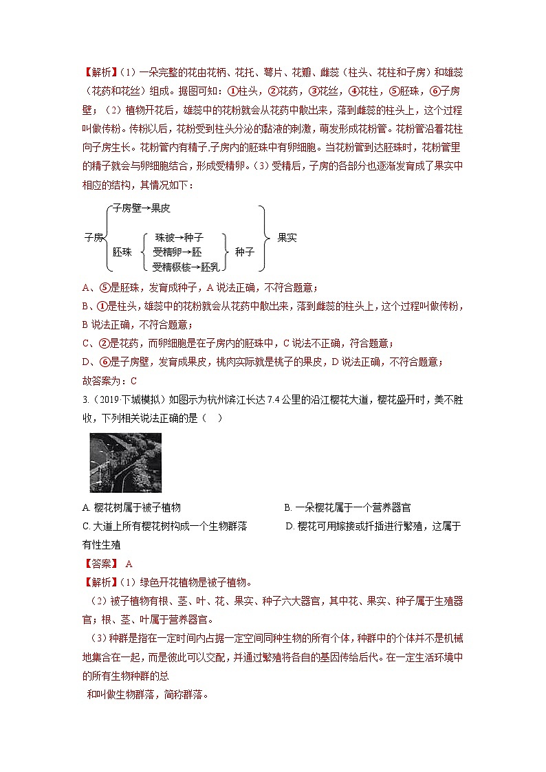 中考科学七年级下册培优习题（宁波专用） 第7章 1绿色开花植物的有性生殖和发育 2种子的萌发和幼苗的形成第2页