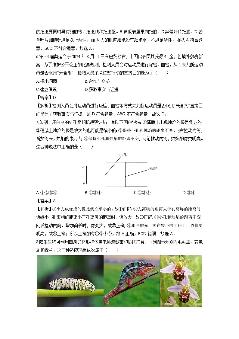 浙江省杭州市临平区名校2024-2025学年七年级上册期末模拟科学试卷（解析版）第3页