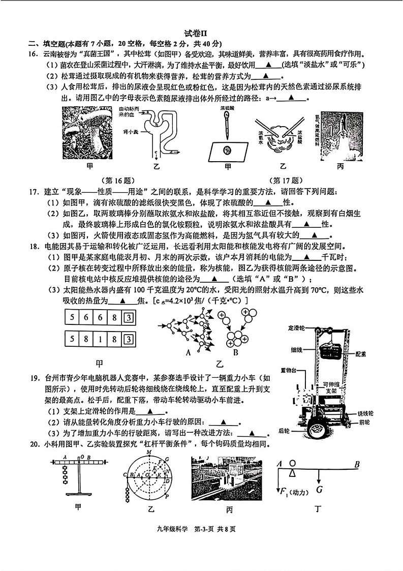 浙江省台州市临海市2024-2025学年九年级上学期期末科学试题第3页