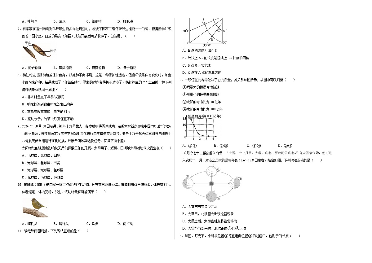 八上科学上学期期末模拟卷(三)（浙教版2024）（考试版A3）第2页
