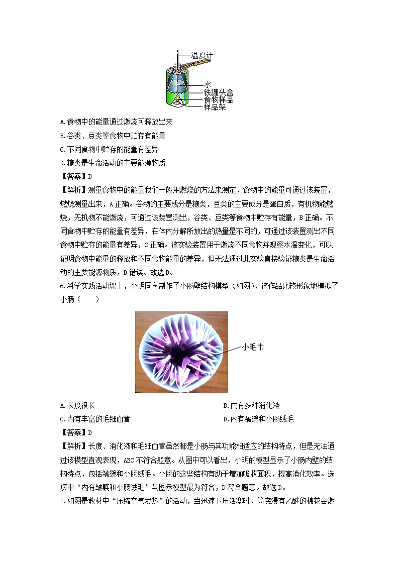 浙江省绍兴市诸暨市2024-2025学年九年级上学期期末考试科学试卷（解析版）第3页