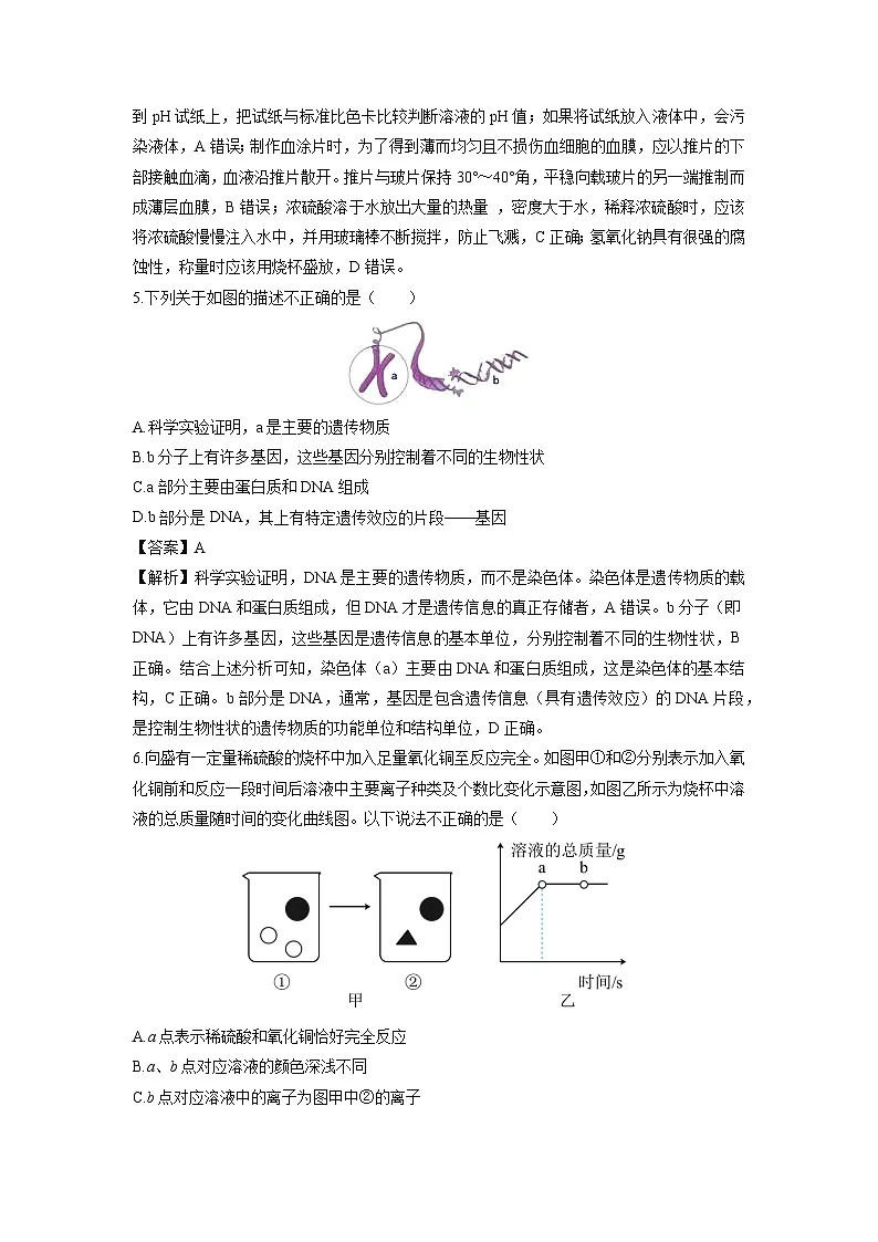 浙江省金华市2024-2025学年九年级上学期期末科学试卷（解析版）第3页