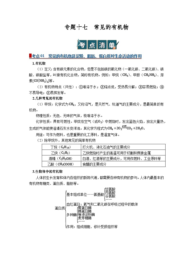 专题17  常见的有机物（word）2025-2026学年初中浙教版科学一轮复习讲义知识点+习题（原卷版）第1页