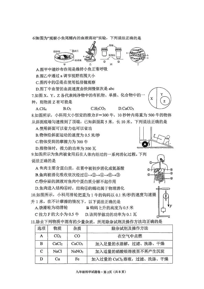 浙江省杭州弘益中学2025-2026学年九年级上学期1月独立练习科学试题第2页
