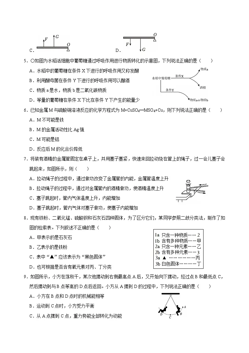 2025-2026学年浙教版九年级上学期科学期末模拟测试卷（三）（含答案解析）第2页