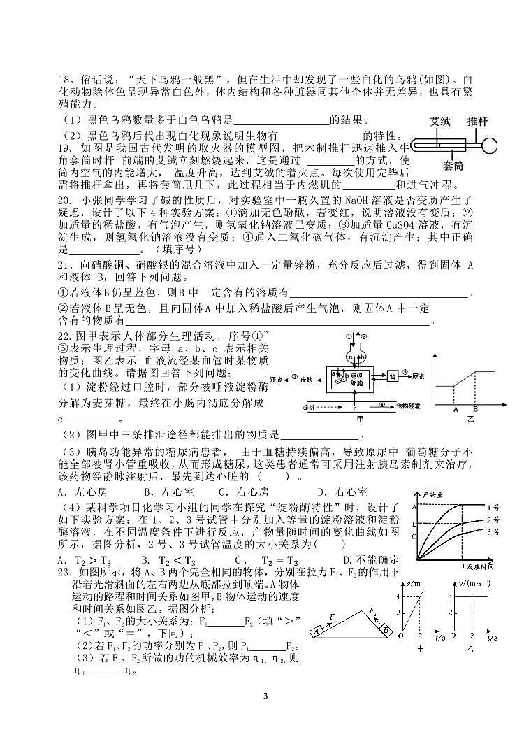 稠州中学九年级科学作业检测试卷 2026.01第3页