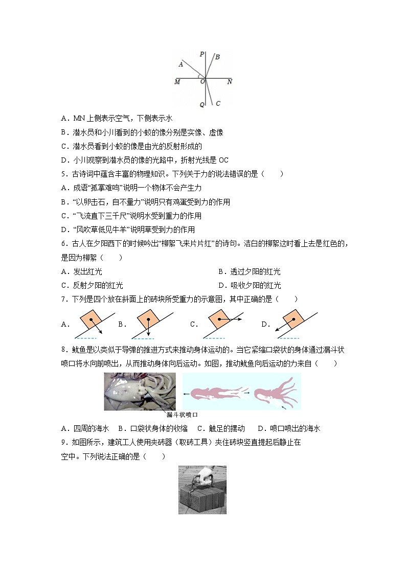 2025-2026学年浙江省余姚市六校期中联考上学期八年级科学试卷第2页