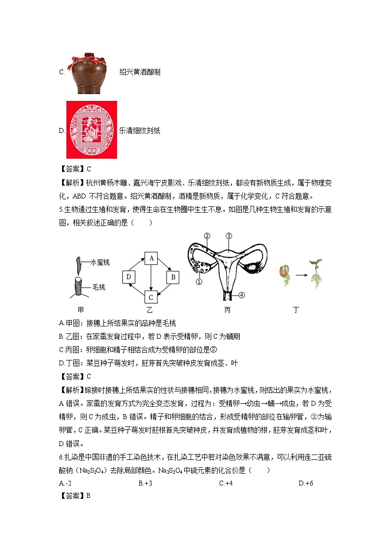 2024-2025学年浙江省杭州市上城区七年级下学期期末考试科学试卷（解析版）第3页