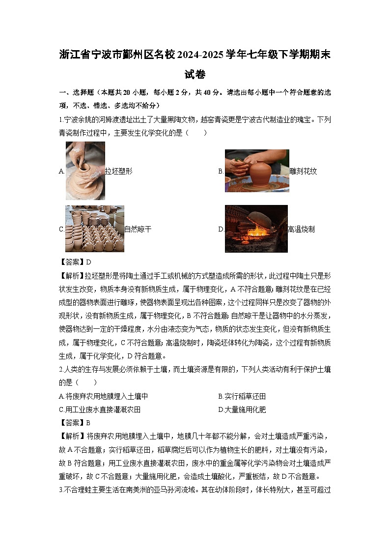 2024-2025学年浙江省宁波市鄞州区名校七年级下学期期末科学试卷（解析版）第1页