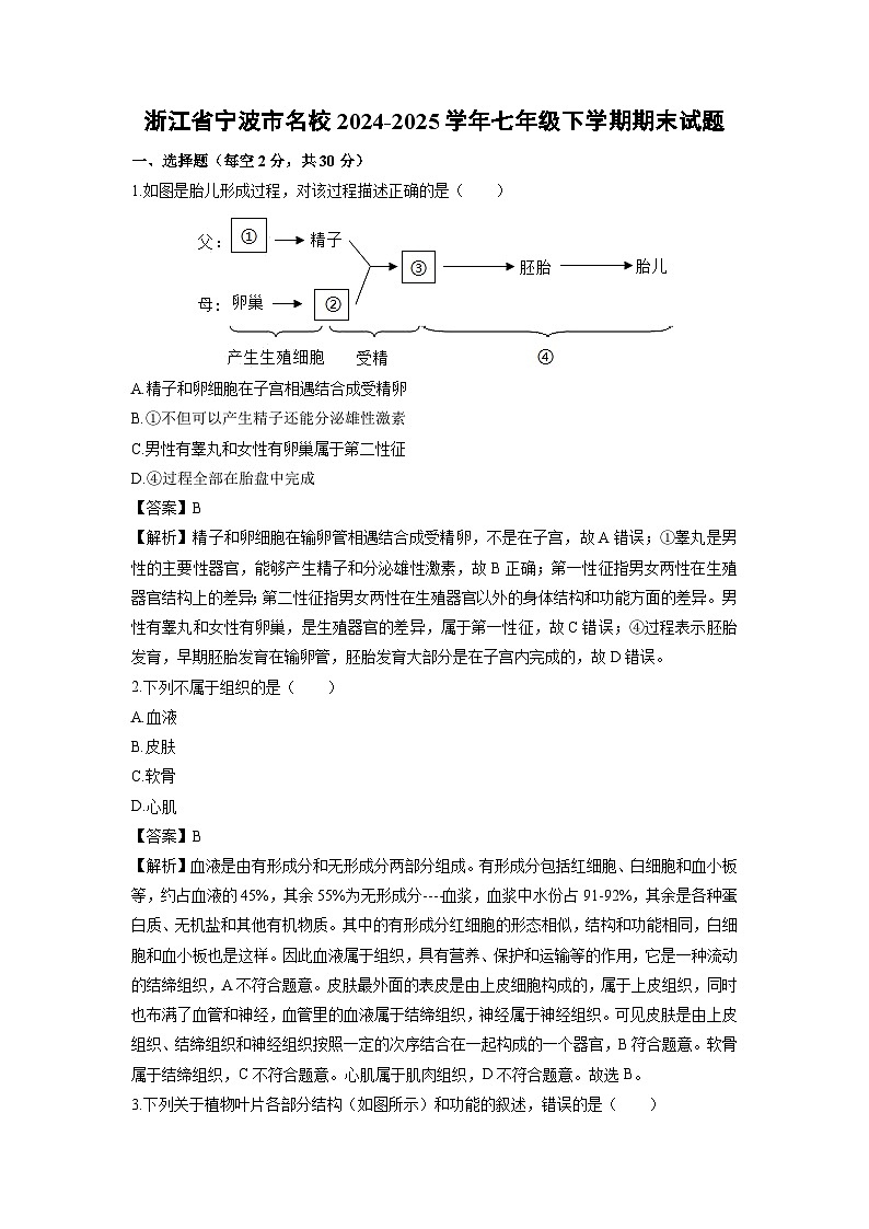 2024-2025学年浙江省宁波市名校七年级下学期期末科学试卷（解析版）第1页