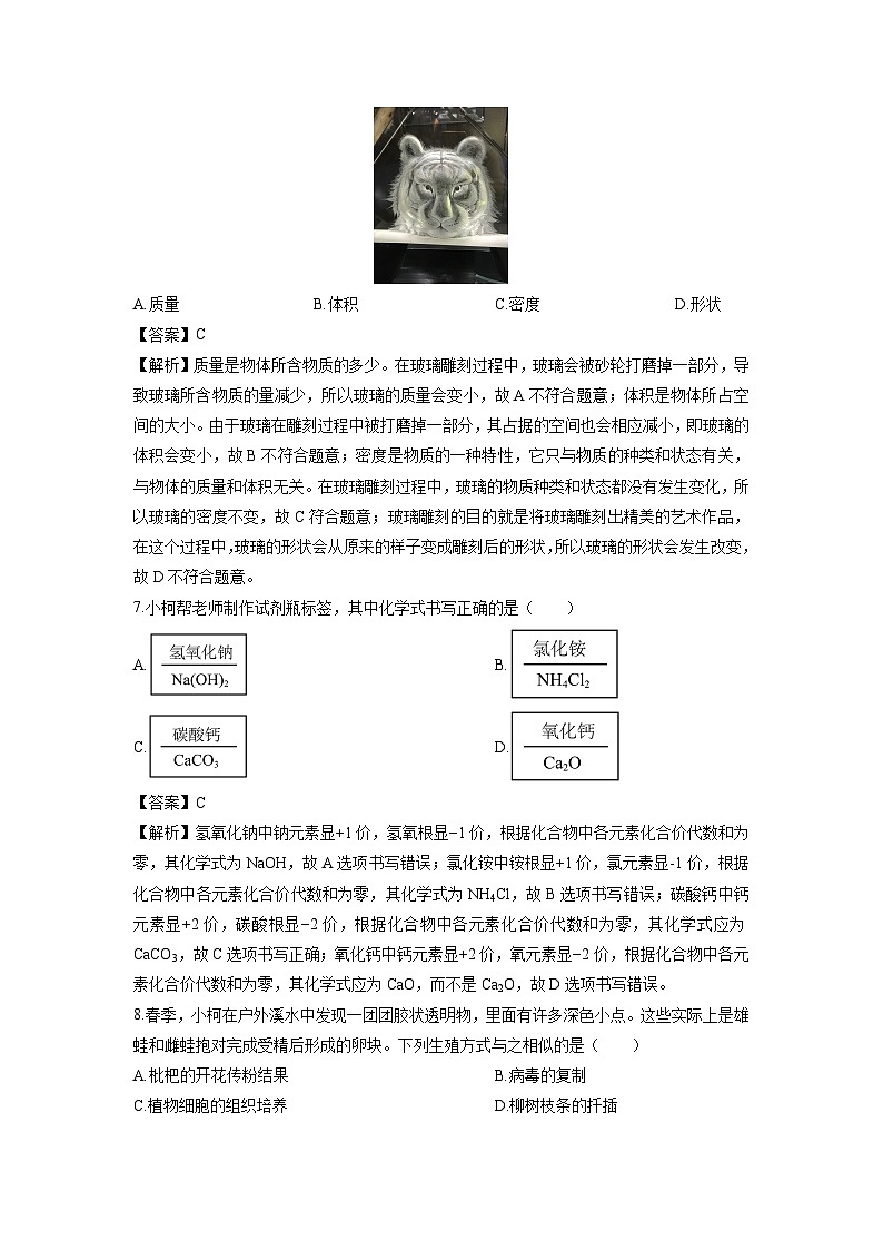 2024-2025学年浙江省台州市路桥区七年级下学期期末科学试卷（解析版）第3页