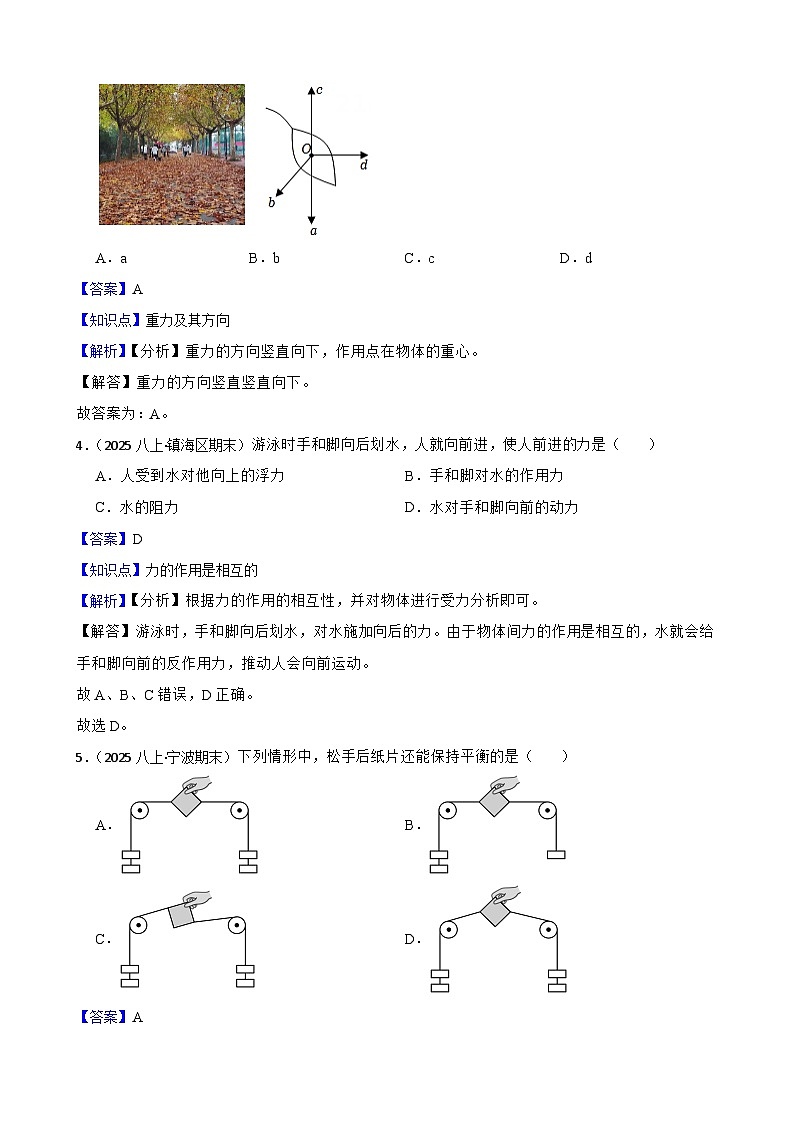 【浙教版】科学 八上（新教材） 期中检测卷1(教师版)第2页