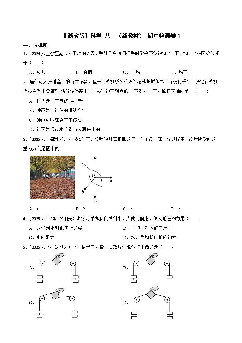 【浙教版】科学 八上（新教材） 期中检测卷1(学生版)第1页
