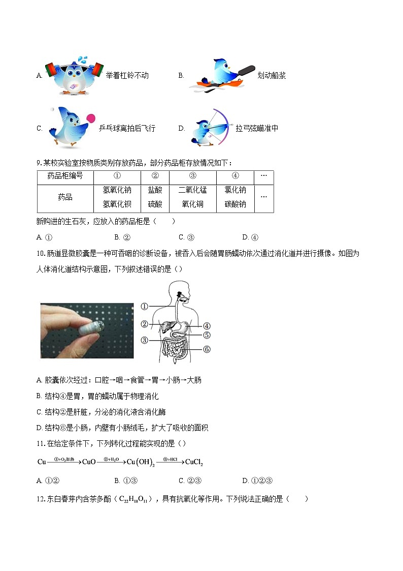 浙江省金华市2025-2026学年九年级上学期1月期末科学试题-普通用卷(1)第3页
