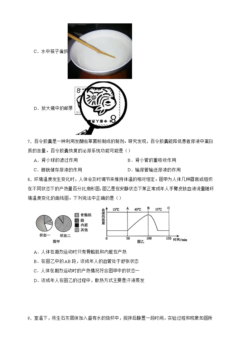 【中考必刷卷】2026年中考科学模拟试卷03（学生版）第3页