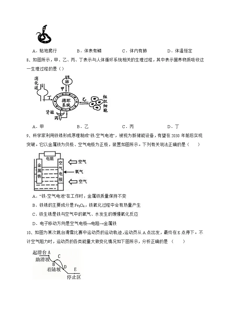 【中考必刷卷】2026年中考科学模拟试卷06（学生版）第3页