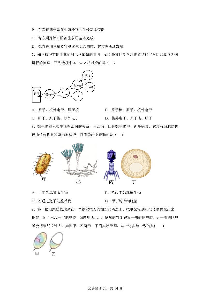 2024~2025学年浙江省杭州市拱墅区大关中学初一下册期中考科学试题【附答案】第3页