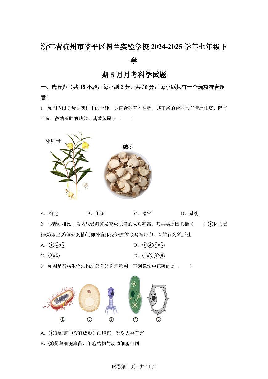 2024~2025学年浙江省杭州市临平区树兰实验学校七年级下册5月月考科学试题【附答案】第1页