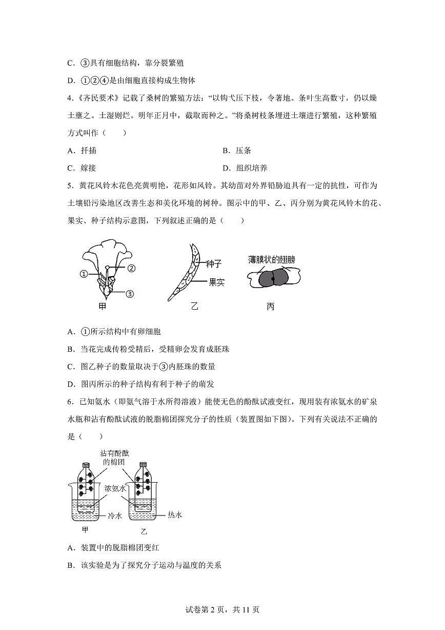 2024~2025学年浙江省杭州市临平区树兰实验学校七年级下册5月月考科学试题【附答案】第2页