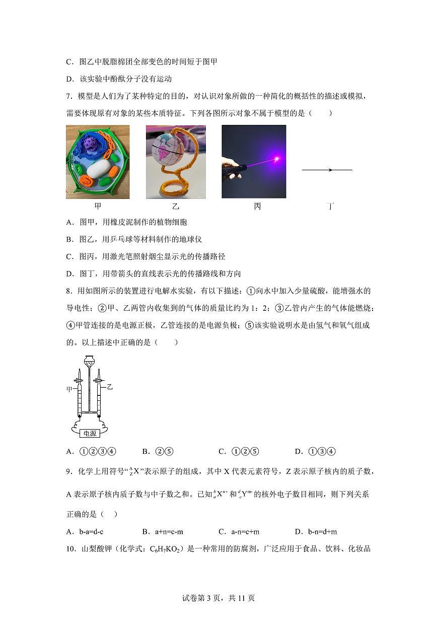 2024~2025学年浙江省杭州市临平区树兰实验学校七年级下册5月月考科学试题【附答案】第3页
