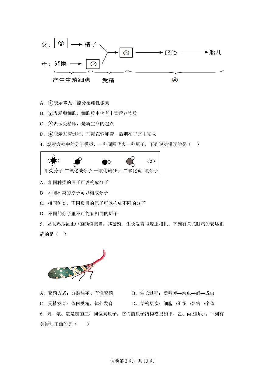 2024~2025学年浙江省杭州市钱塘区学正中学初一下册期中考科学试题【附答案】第2页