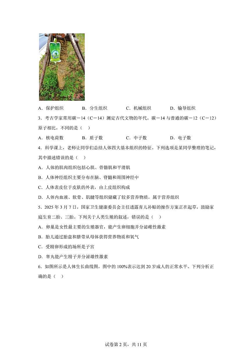 2024~2025学年浙江省杭州市上城区东城实验中学初一下册期中考科学试题【附答案】第2页