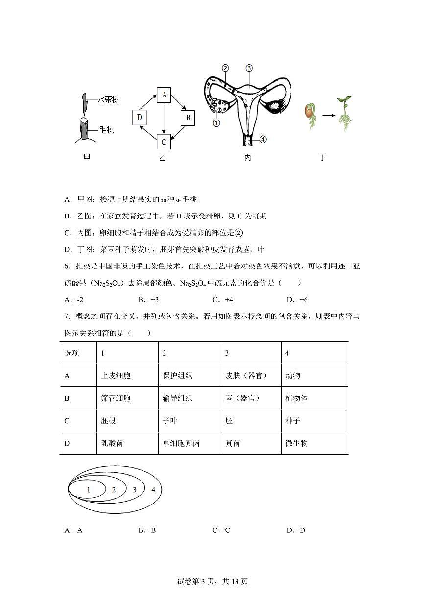 2024~2025学年浙江省杭州市上城区七年级下册期末考试科学试题【附答案】第3页