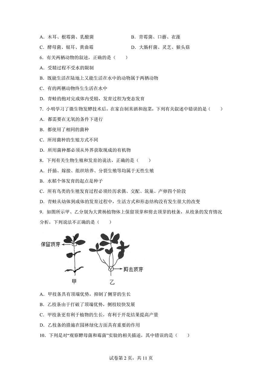 2024~2025学年浙江省杭州市萧山区宁围初级中学七年级下册期中科学试题【附答案】第2页