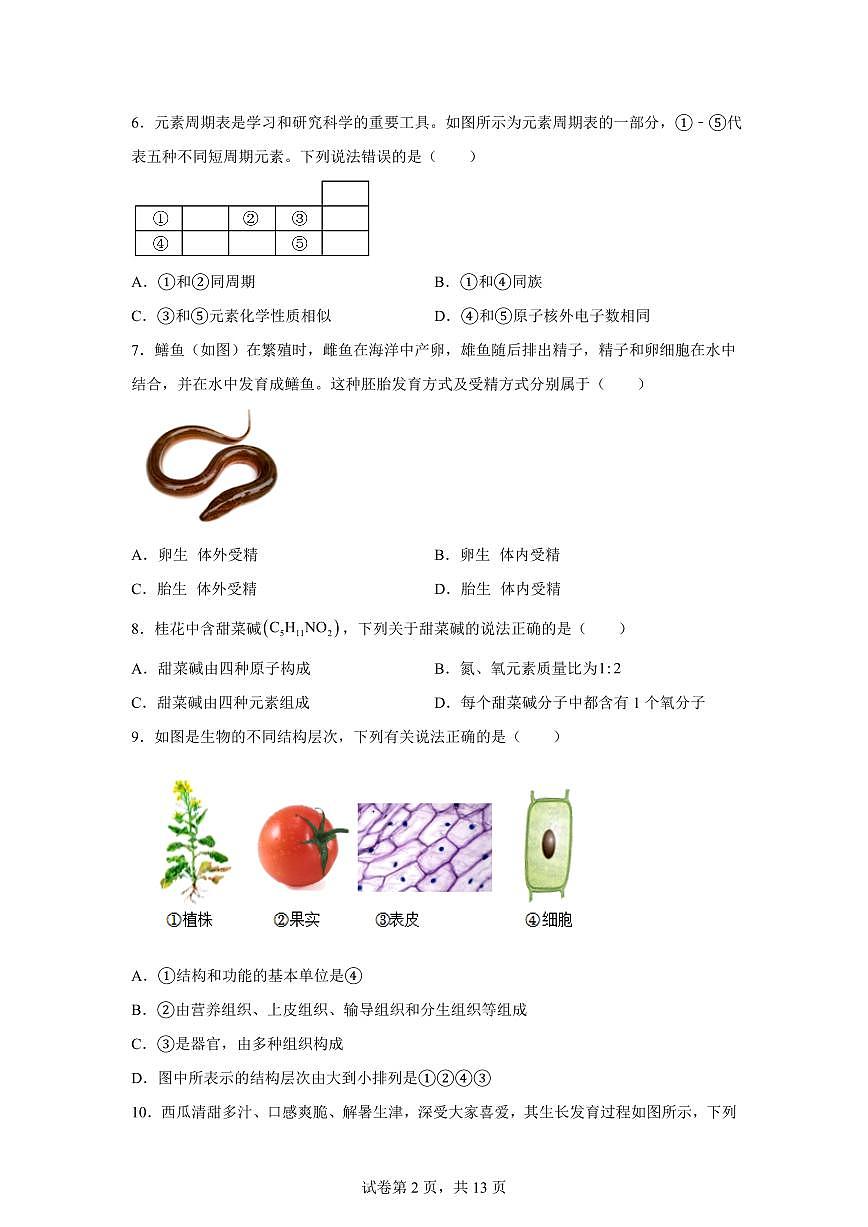 2024~2025学年浙江省杭州市余杭区七年级下册期末科学考前模拟卷 【附答案】第2页