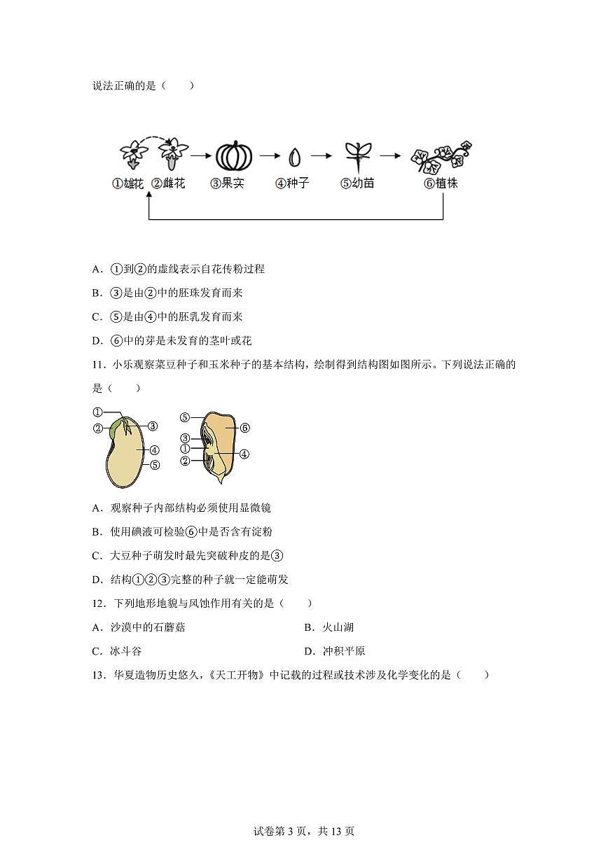 2024~2025学年浙江省杭州市余杭区七年级下册期末科学考前模拟卷 【附答案】第3页