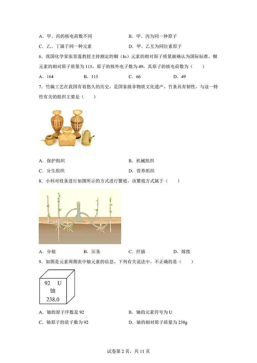 2024~2025学年浙江省湖州市德清县七年级下册期中学业质量监测科学试题【附答案】第2页