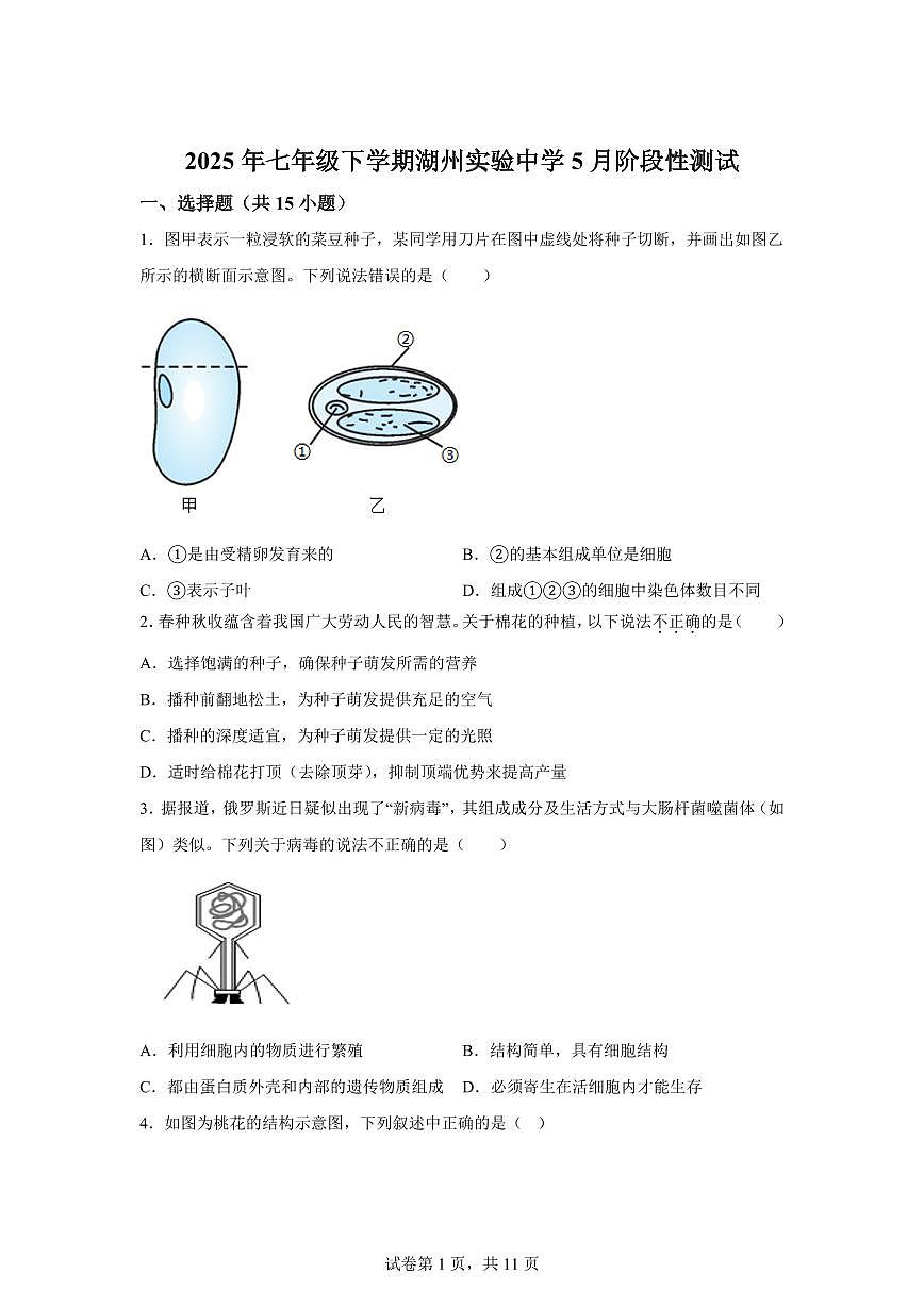 2024~2025学年浙江省湖州市吴兴区多校七年级下册5月月考科学试题【附答案】第1页