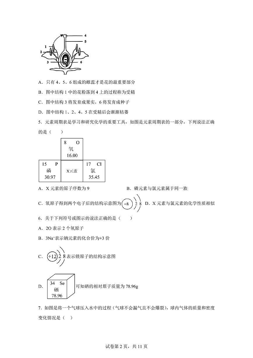 2024~2025学年浙江省湖州市吴兴区多校七年级下册5月月考科学试题【附答案】第2页