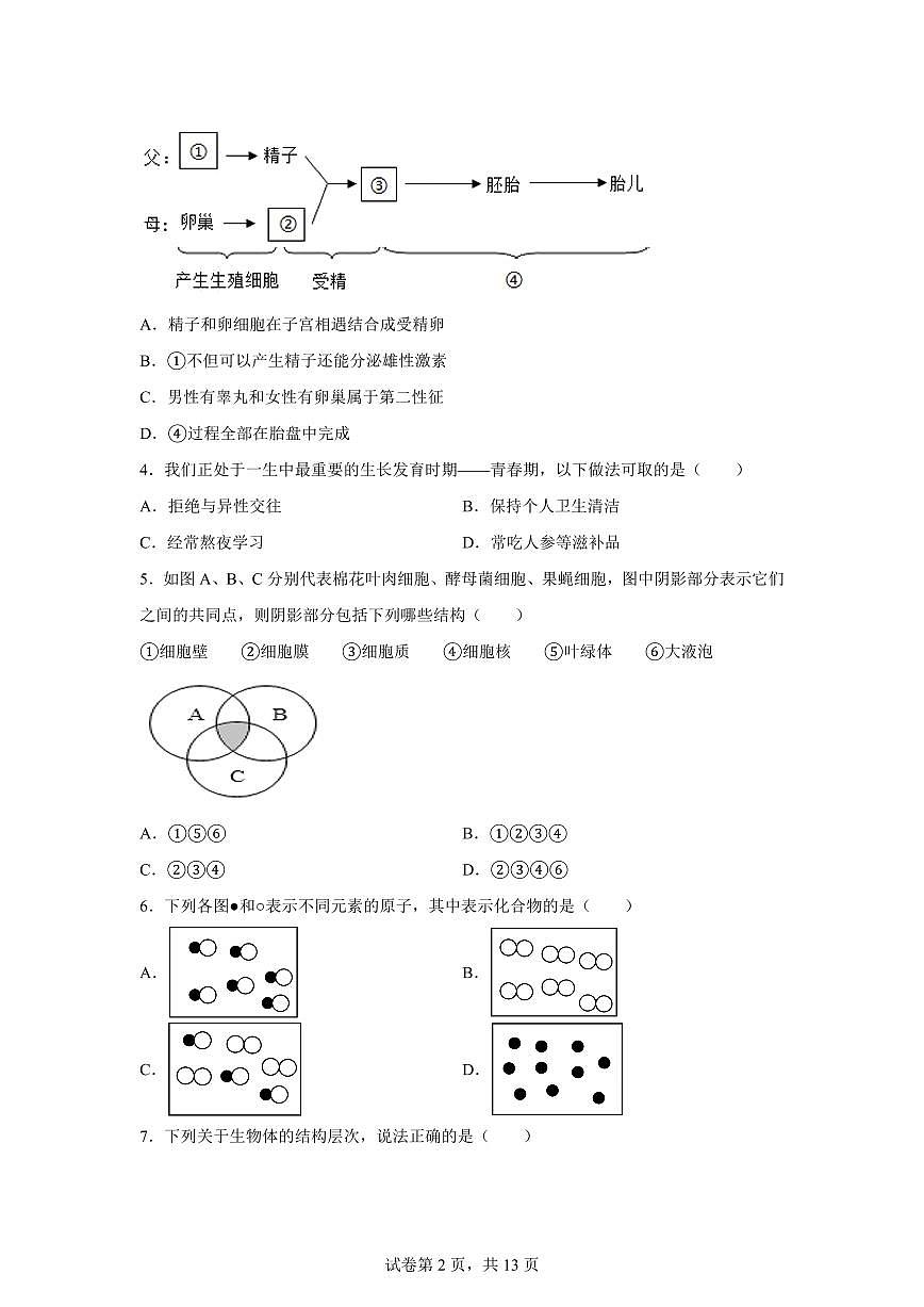 2024~2025学年浙江省丽水市龙泉市七年级下册期中科学试题【附答案】第2页