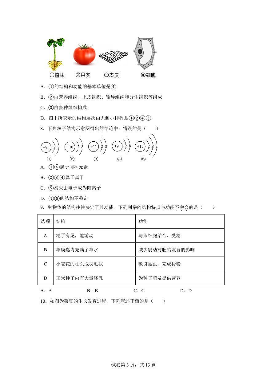 2024~2025学年浙江省丽水市龙泉市七年级下册期中科学试题【附答案】第3页