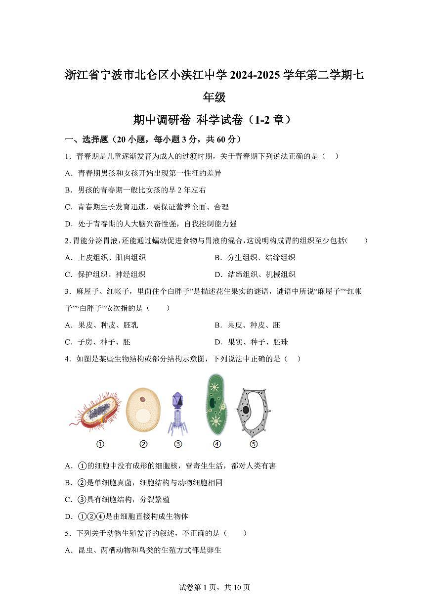 2024~2025学年浙江省宁波市北仑区小浃江中学七年级下册期中科学试题 【附答案】第1页