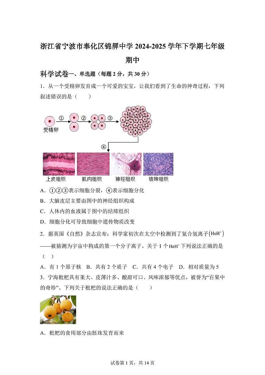 2024~2025学年浙江省宁波市奉化区锦屏中学七年级下册期中科学试题【附答案】第1页