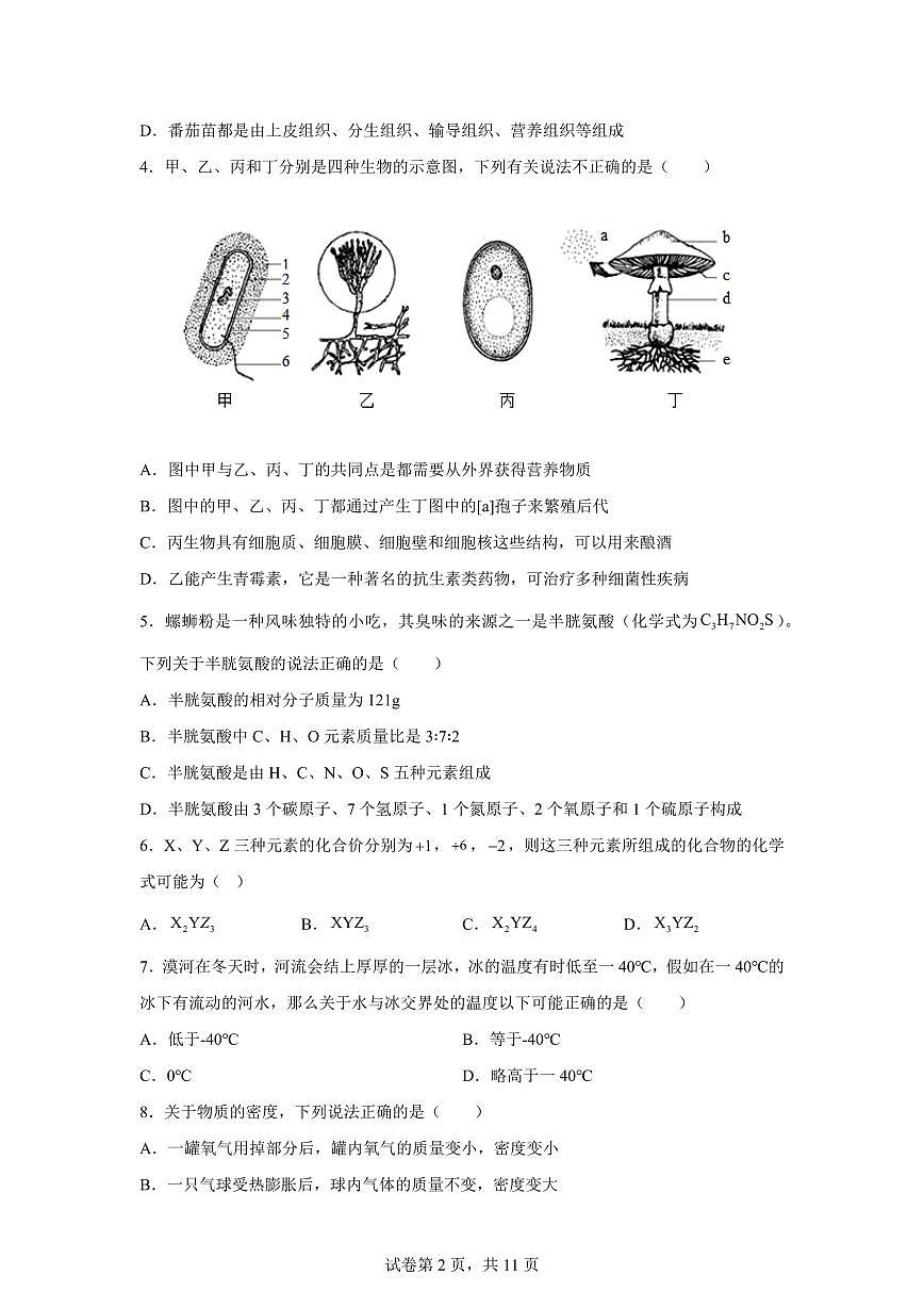 2024~2025学年浙江省宁波市鄞州第二实验中学七年级下册期末科学试题【附答案】第2页