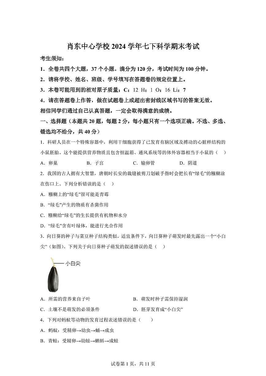 2024~2025学年浙江省宁波市余姚市肖东中心学校七年级下册期末科学试题【附答案】第1页