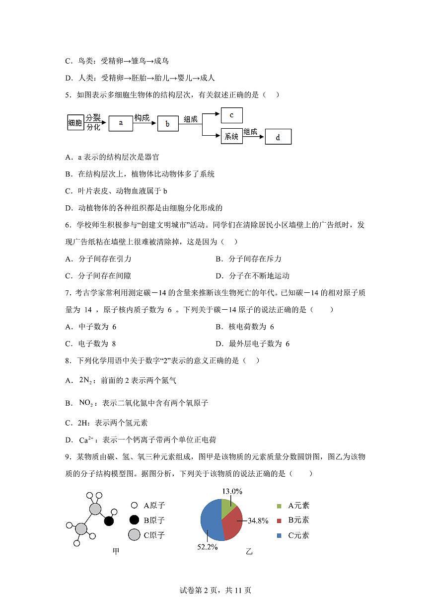 2024~2025学年浙江省宁波市余姚市肖东中心学校七年级下册期末科学试题【附答案】第2页