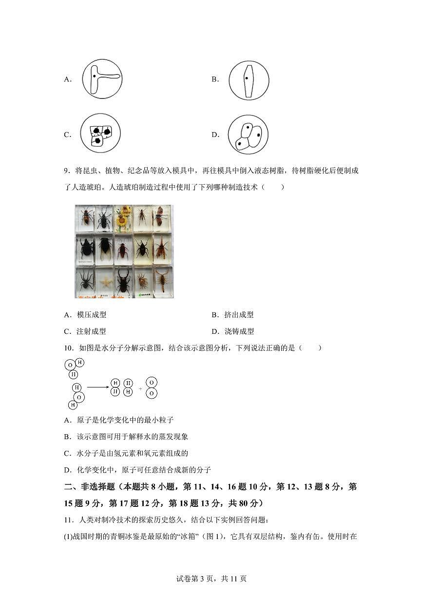 2024~2025学年浙江省衢州市柯城区七年级下册期末考试科学试题【附答案】第3页