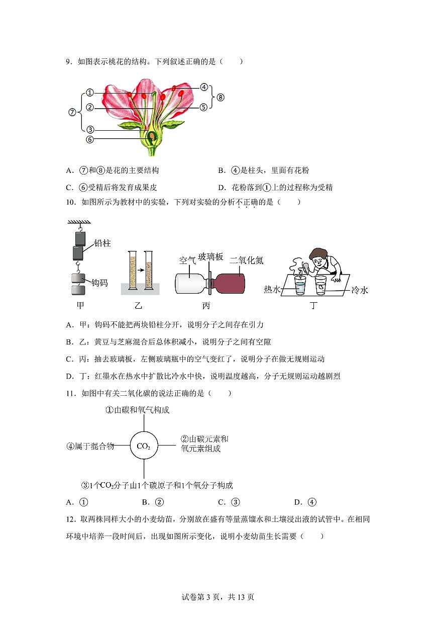 2024~2025学年浙江省绍兴市嵊州市七年级下册期末科学试题卷【附答案】第3页