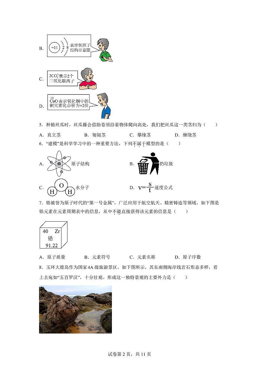 2024~2025学年浙江省台州市玉环市七年级下册6月期末科学试题 【附答案】第2页