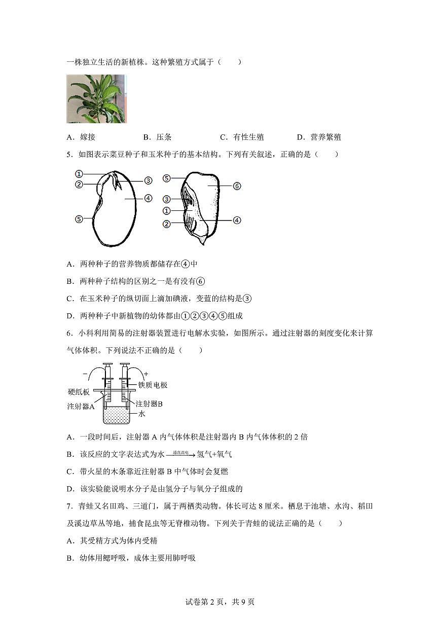 2024~2025学年浙江省温州市洞头区七年级下册期中考试科学试题【附答案】第2页
