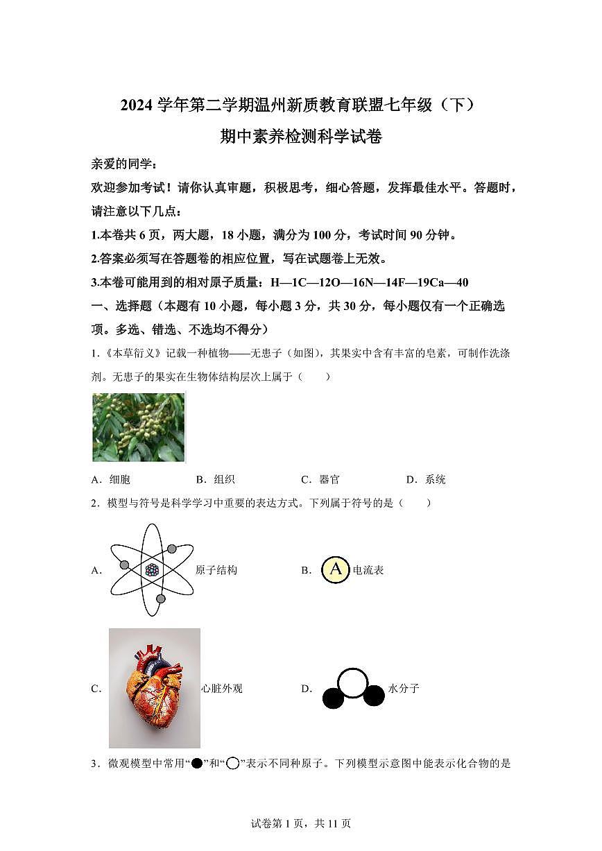2024~2025学年浙江省温州市温州市新质联盟七年级下册4月期中科学试题【附答案】第1页
