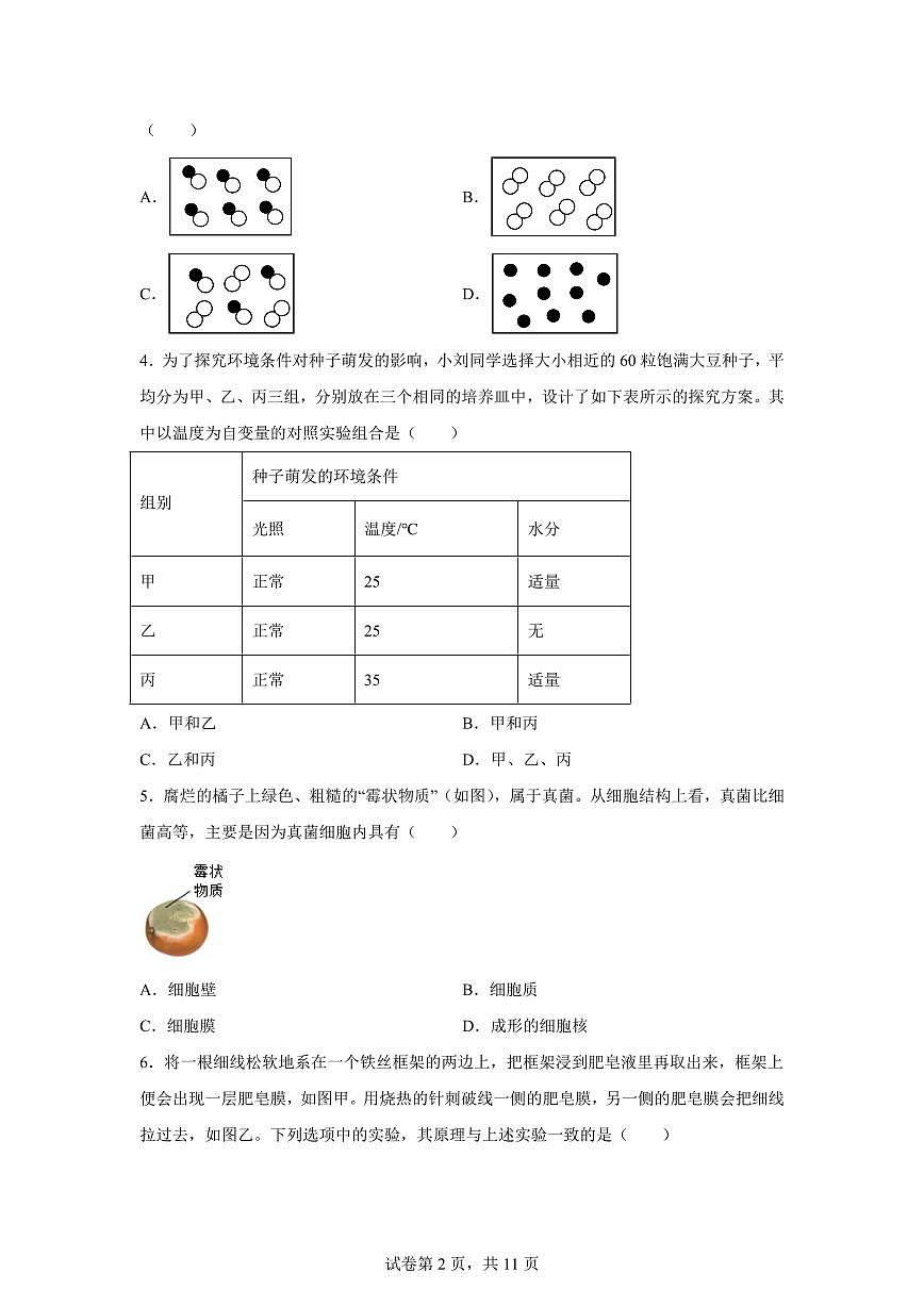 2024~2025学年浙江省温州市温州市新质联盟七年级下册4月期中科学试题【附答案】第2页