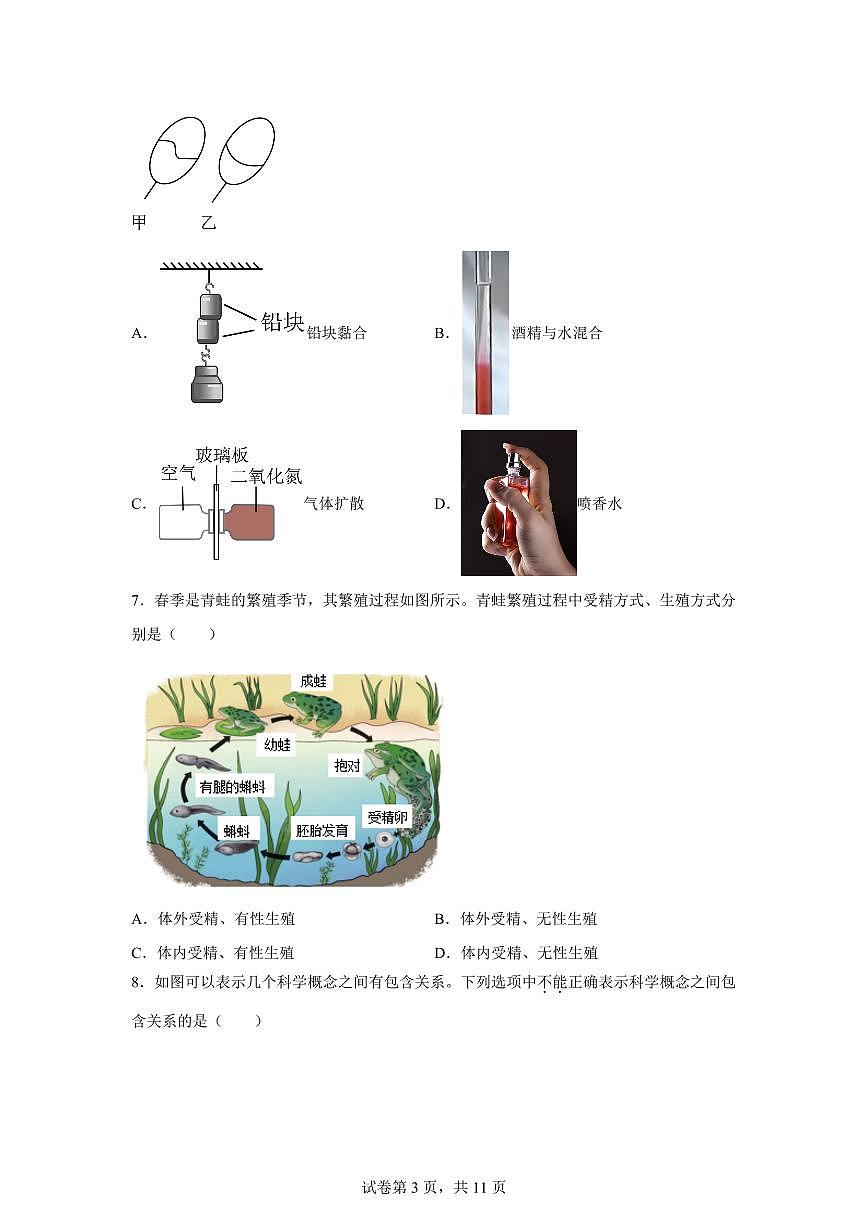 2024~2025学年浙江省温州市温州市新质联盟七年级下册4月期中科学试题【附答案】第3页