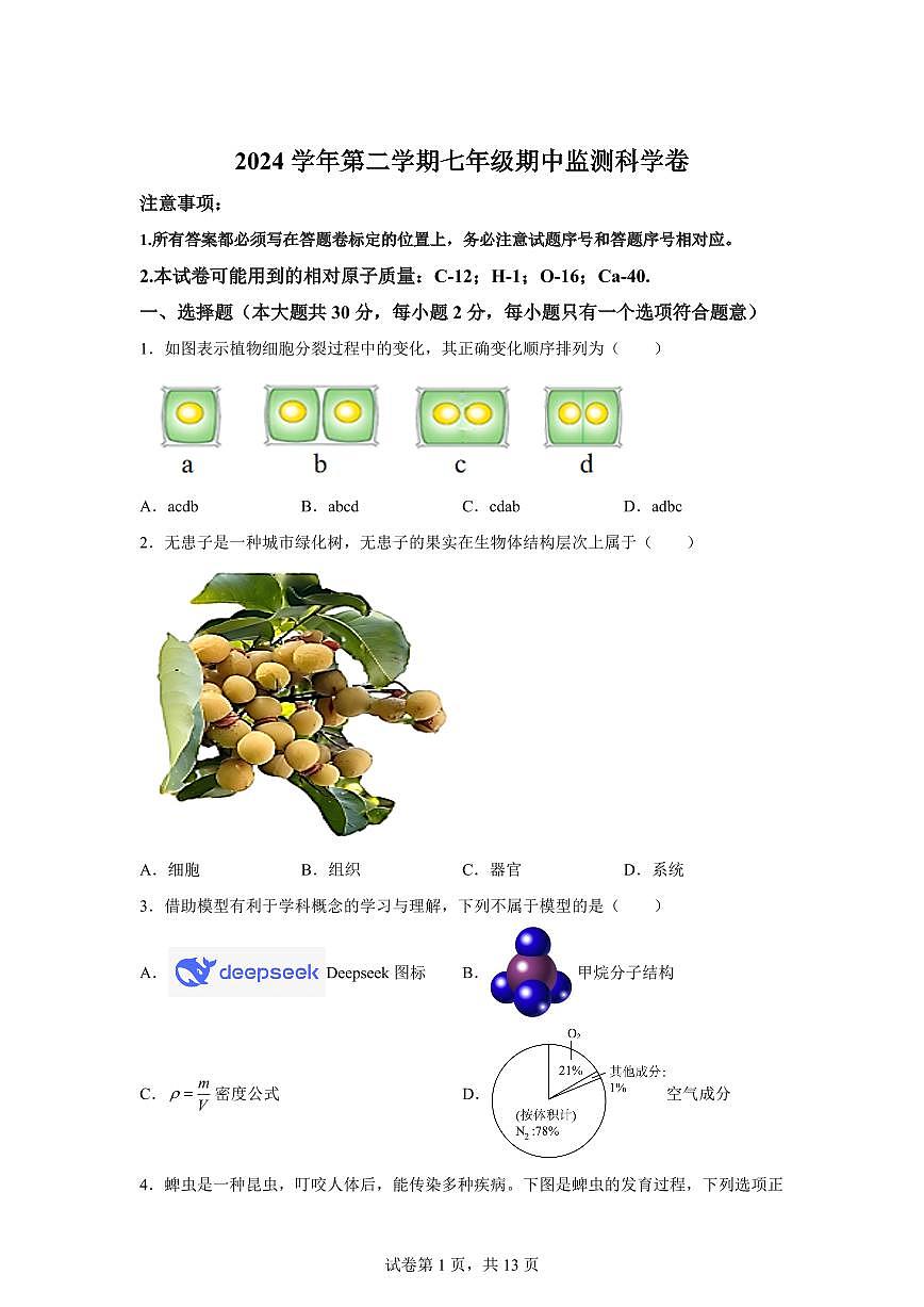 2024~2025学年浙江省温州市瑞安市6校联考七年级下册期中科学试题【附答案】第1页