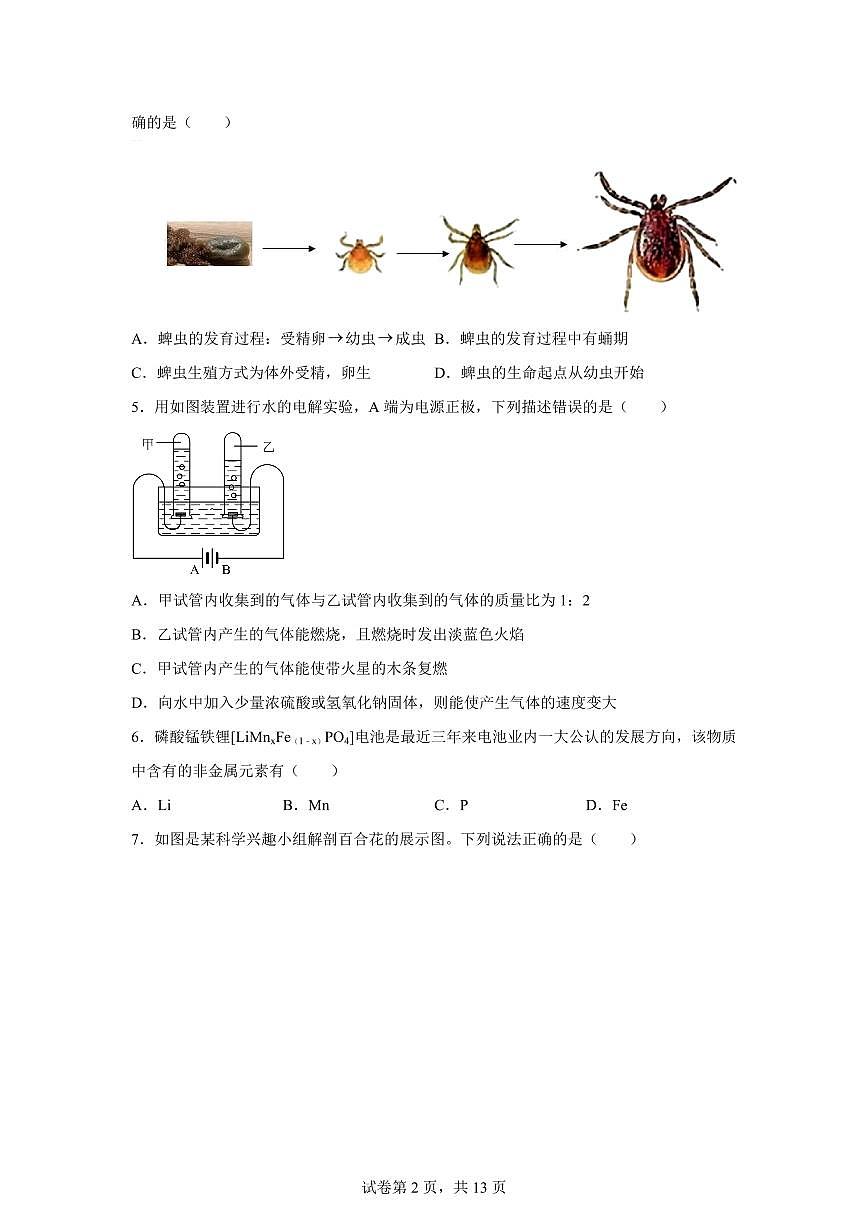2024~2025学年浙江省温州市瑞安市6校联考七年级下册期中科学试题【附答案】第2页